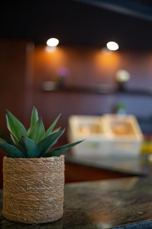 Hotel Bracamonte Peñaranda de Bracamonte 外观 照片